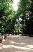 Туры в отель Hacienda Tres Rios Туры в отель Hacienda Tres Rios