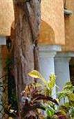 Туры в отель Hacienda Vista Real Villas & Spa Туры в отель Hacienda Vista Real Villas & Spa