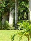 Туры в отель Hacienda Vista Real Villas & Spa Туры в отель Hacienda Vista Real Villas & Spa
