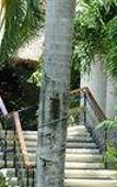 Туры в отель Hacienda Vista Real Villas & Spa Туры в отель Hacienda Vista Real Villas & Spa