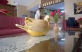 Туры в отель Savran Otel Туры в отель Savran Otel