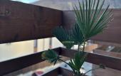 Туры в отель Voznesenskaya 24/1 Apartments Туры в отель Voznesenskaya 24/1 Apartments