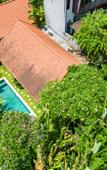 Туры в отель Jungle Amaranth Canggu – Exclusive 3BR Retreat with Pool, Modern Amenities and Top Location Villa Туры в отель Jungle Amaranth Canggu – Exclusive 3BR Retreat with Pool, Modern Amenities and Top Location Villa