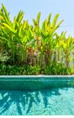 Туры в отель Jungle Amaranth Canggu – Exclusive 3BR Retreat with Pool, Modern Amenities and Top Location Villa Туры в отель Jungle Amaranth Canggu – Exclusive 3BR Retreat with Pool, Modern Amenities and Top Location Villa