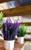 Туры в отель House in Gorny Altai Guest house Туры в отель House in Gorny Altai Guest house