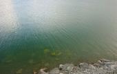 Туры в отель Altitude 1900 Dive resorts Туры в отель Altitude 1900 Dive resorts