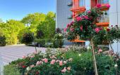 Туры в отель Morein Hotel Туры в отель Morein Hotel