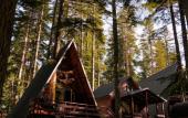 Туры в отель Elki House Туры в отель Elki House