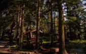 Туры в отель Elki House Туры в отель Elki House