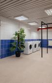 Туры в отель Alfa Hostel Туры в отель Alfa Hostel