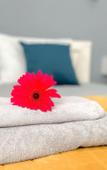 Туры в отель Hotel Konsul Туры в отель Hotel Konsul
