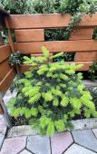 Туры в отель Amalfi Guest House Туры в отель Amalfi Guest House