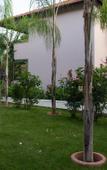 Туры в отель Club Akman Beach Hotel Туры в отель Club Akman Beach Hotel