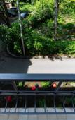 Туры в отель Malkova Apartments Na Zhitomirskoy Apartments Туры в отель Malkova Apartments Na Zhitomirskoy Apartments