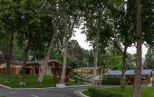 Туры в отель Burchmulla Resorts Туры в отель Burchmulla Resorts