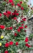 Туры в отель 8-Ye Nebo Guest House Туры в отель 8-Ye Nebo Guest House
