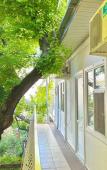 Туры в отель 8-Ye Nebo Guest House Туры в отель 8-Ye Nebo Guest House