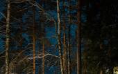 Туры в отель Terrasy Glamping Туры в отель Terrasy Glamping