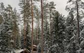 Туры в отель Terrasy Glamping Туры в отель Terrasy Glamping