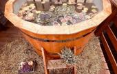 Туры в отель Terrasy Glamping Туры в отель Terrasy Glamping