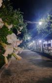Туры в отель Gostevoy Dom Mandarinovy Ray Туры в отель Gostevoy Dom Mandarinovy Ray