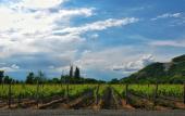 Туры в отель Burki Castle & Cellar Hotel Туры в отель Burki Castle & Cellar Hotel