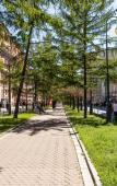 Туры в отель Magic Apart U Metro Vasileostrovskaya Flat Туры в отель Magic Apart U Metro Vasileostrovskaya Flat