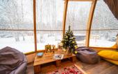 Туры в отель Glamping Baguio Туры в отель Glamping Baguio