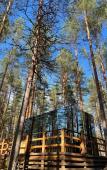 Туры в отель Glemping Mystic Hills Туры в отель Glemping Mystic Hills