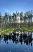 Туры в отель Glemping Mystic Hills Туры в отель Glemping Mystic Hills