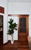 Туры в отель GM Apartments Ultramodnaya Chetverka na Patrikakh Flat Туры в отель GM Apartments Ultramodnaya Chetverka na Patrikakh Flat