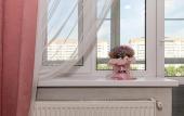 Туры в отель Apartments Dobrye sutki on Cherkasskaya street 127 Туры в отель Apartments Dobrye sutki on Cherkasskaya street 127