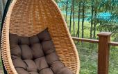 Туры в отель Zagorodny Park Shishkin Guest House Туры в отель Zagorodny Park Shishkin Guest House