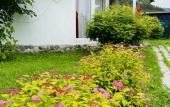 Туры в отель Guest house Usadyba Rosstan Туры в отель Guest house Usadyba Rosstan