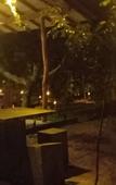Туры в отель Wilpattu wild villa Туры в отель Wilpattu wild villa