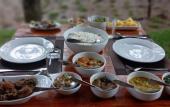 Туры в отель Wilpattu wild villa Туры в отель Wilpattu wild villa