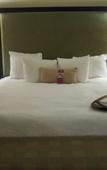 Туры в отель Hampton Inn & Suites Houston-Bush Intercontinental Airport Туры в отель Hampton Inn & Suites Houston-Bush Intercontinental Airport