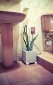 Туры в отель Urban Galle Villa Туры в отель Urban Galle Villa