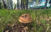 Туры в отель Baza Otdykha Aleksandrovskaya Туры в отель Baza Otdykha Aleksandrovskaya