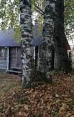 Туры в отель Usadyba Dobryni Nikiticha Hotel Туры в отель Usadyba Dobryni Nikiticha Hotel