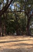 Туры в отель Malai Maikhao Near Beach Туры в отель Malai Maikhao Near Beach
