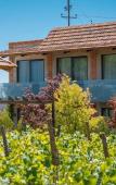 Туры в отель Giuaani Winery Туры в отель Giuaani Winery