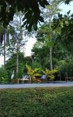 Туры в отель Sigiriya Cashew Palace Resort Туры в отель Sigiriya Cashew Palace Resort