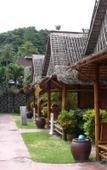 Туры в отель Phi Phi Twin Palms Bungalows Туры в отель Phi Phi Twin Palms Bungalows