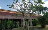 Туры в отель Kanchira Resort Туры в отель Kanchira Resort