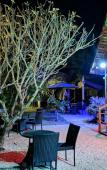 Туры в отель The Garden Lodge Pereybere - Piscine Туры в отель The Garden Lodge Pereybere - Piscine