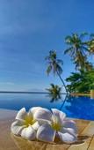 Туры в отель ABWonderdive Beach Resort Туры в отель ABWonderdive Beach Resort