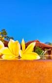 Туры в отель ABWonderdive Beach Resort Туры в отель ABWonderdive Beach Resort