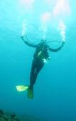 Туры в отель ABWonderdive Beach Resort Туры в отель ABWonderdive Beach Resort