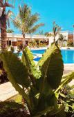 Туры в отель The Bali Resort Zanzibar Туры в отель The Bali Resort Zanzibar